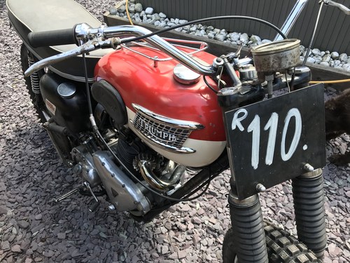 1961 Triumph 1961 T110 Desert Sled Kaufen Bei