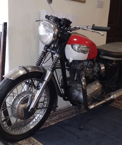1965 Triumph Bonneville Till salu