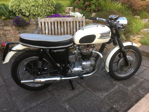 1964 Triumph Bonneville T120
