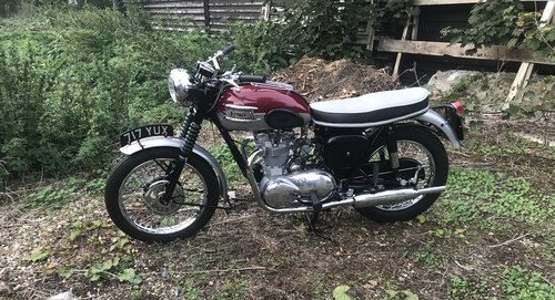 1962 Triumph Trophy TR6 SS En Venta