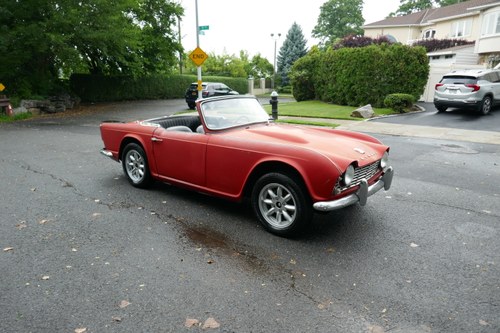1964 Triumph TR4 with Overdrive Same Owner 33 years (St 2562 Kaufen Bei