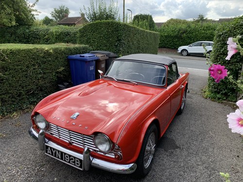 1964 Triumph TR4