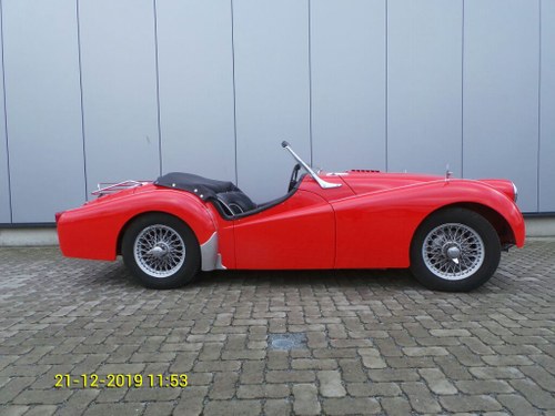 1955 Triumph TR2