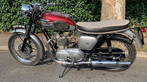 1960 Triumph TT 600