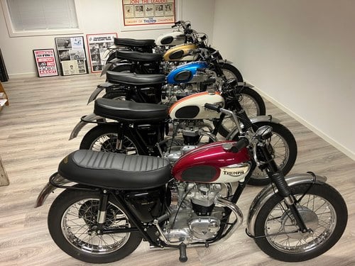 Triumph Bonneville 650 - The TT Specials