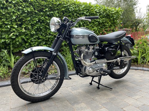 1956 Triumph Trophy TR6 Kaufen Bei