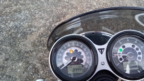 2019 Triumph Speed Twin