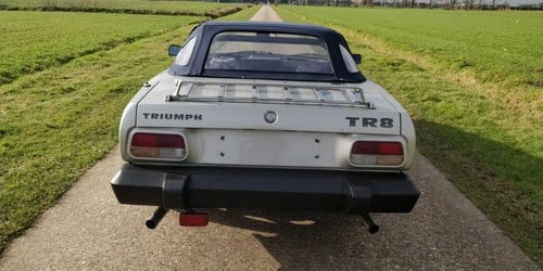 1979 Triumph TR8 - 3