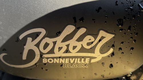 Picture of 2018 2019 Triumph Bonneville Bobber - For Sale