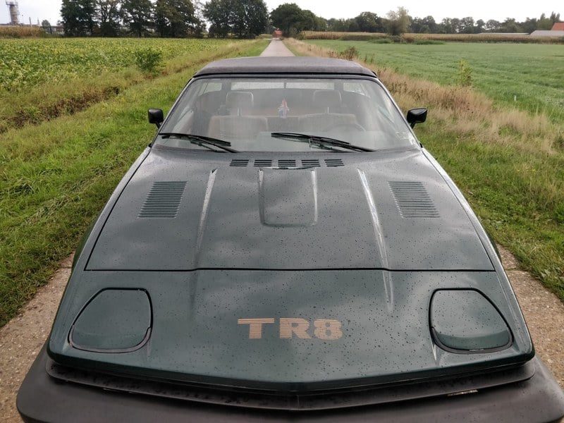 1980 Triumph TR8 - 4