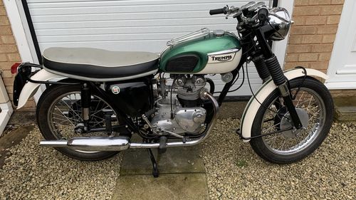 Picture of 1966 Triumph Tiger T100SS - For Sale