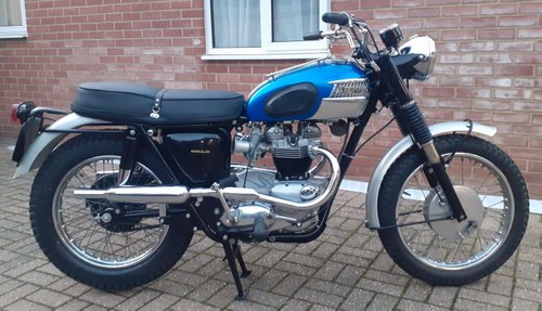 1964 1965 Triumph T120 C Bonneville Competition Scrambler SOLD