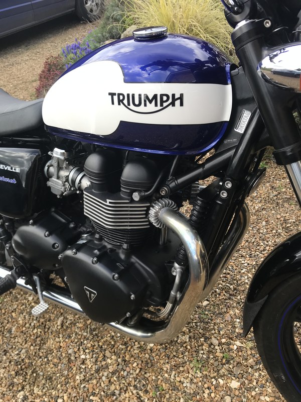 2015 Triumph Bonneville - 7