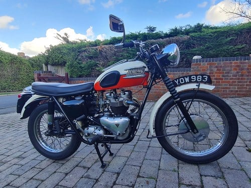 1959 Triumph TR6 Trophy