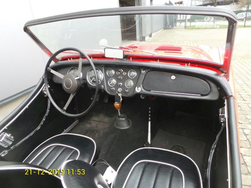 1955 Triumph TR2 - 2