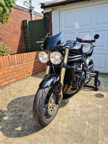 2006 Triumph Speed Triple 1050