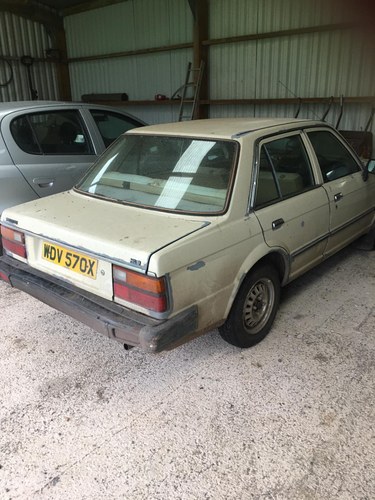 1982 Triumph Acclaim