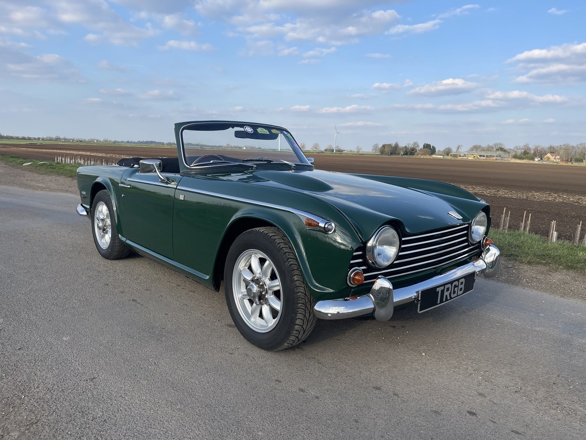 Schuco 450024800 Triumph TR250 1967 Roadster offen grün 1:18 limitiert Modellauto Schuco 450024800 Triumph TR250 1967 Roadster offen grün 1:18 limitiert Modellauto