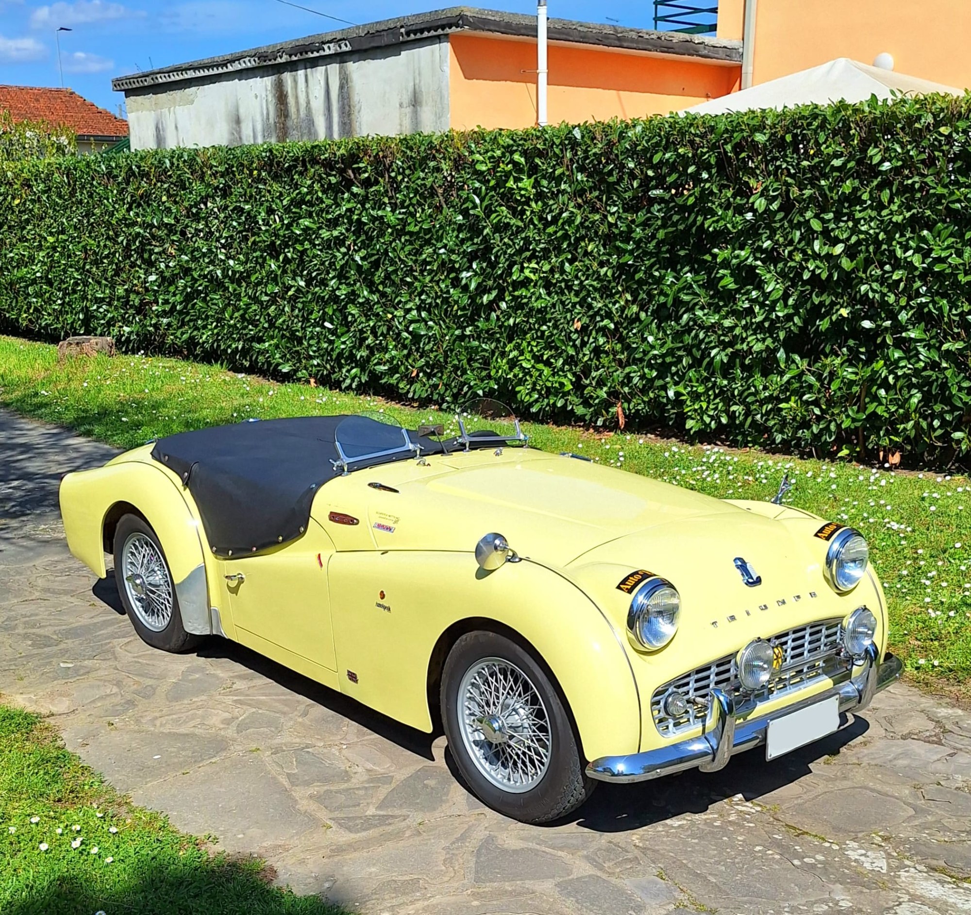 Triumph TR3 A - TARGA ORO ASI - CSAI - BELLISSIMA, foto 7