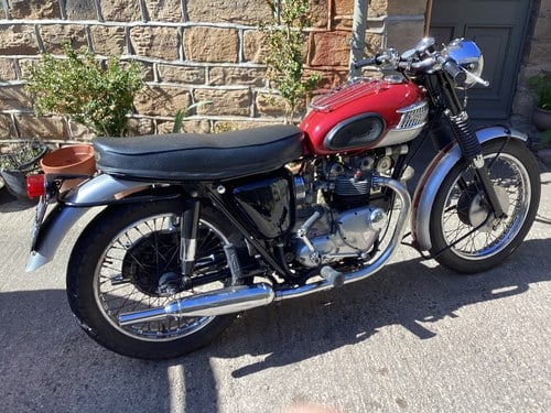1964 Triumph Tiger 90