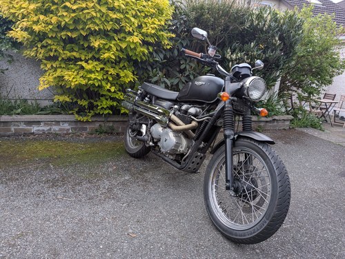 2008 Triumph Scrambler