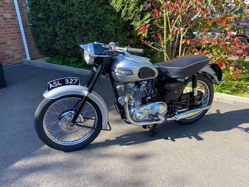 1958 Triumph T100
