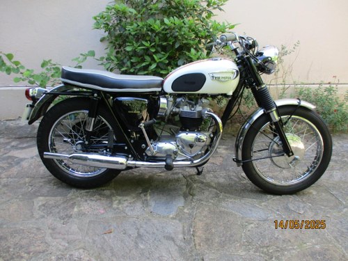 TRIUMPH Bonneville T120 - 1966 A vendre