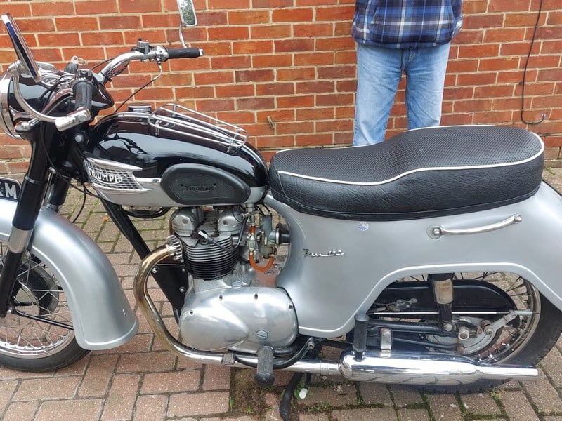 Rapid Classics: Eine Suche. Alle Oldtimer. 26 » Rapid Classics: Eine Suche. Alle Oldtimer. 1962 Triumph T100 A