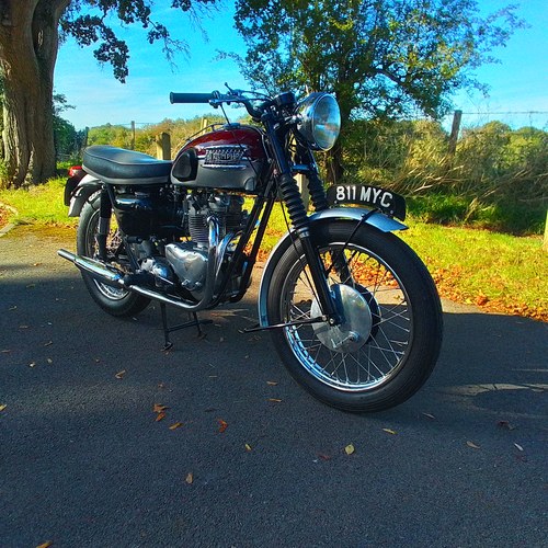 1961 Triumph TR6 Trophy