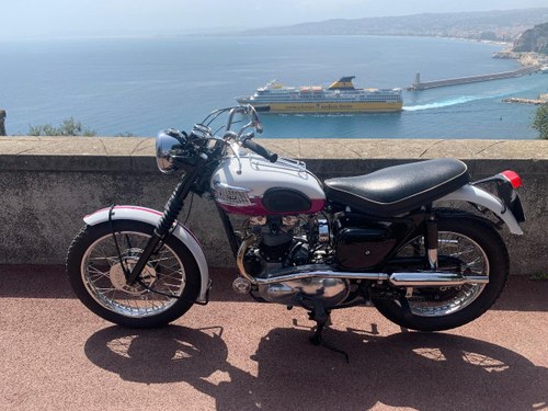 1959 TRIUMPH TR6 Trophy Kaufen Bei