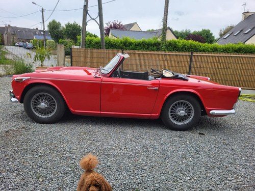 1965 Triumph TR4 TR4A Kaufen Bei