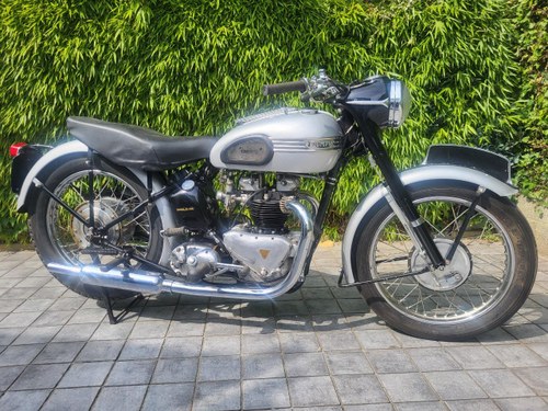 1952 TRIUMPH Speed Twin 5T En Venta