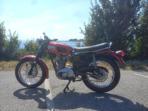 1970 Triumph Trophy 250 À venda