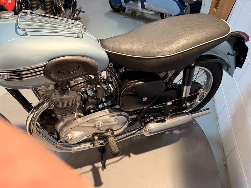 1954 Triumph T100 - 2 1954 Triumph T100 - 2