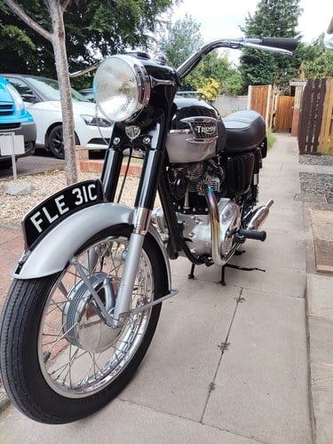 1965 Triumph 650 Thunderbird 6T