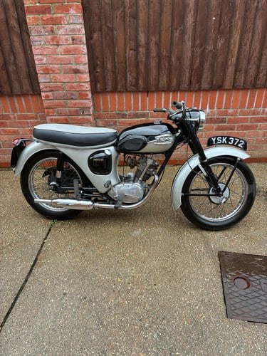 1961 Triumph Tiger Cub