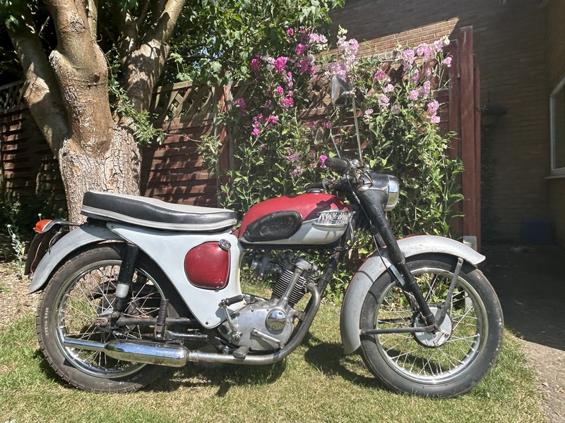 1966 Triumph Tiger Cub - 1 1966 Triumph Tiger Cub - 1