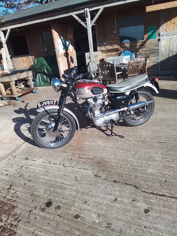 1962 Triumph TR6SS - 1 1962 Triumph TR6SS - 1