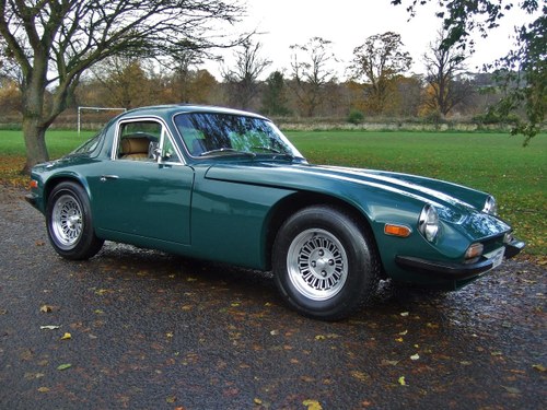 1977 Terrific Taimar! VERKAUFT