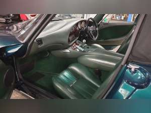 TVR Griffith 500 1998 Juice Green For Sale (picture 21 of 24)