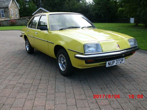 1975 oldest cavalier in th UK In vendita