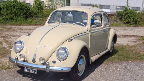 1964 Volkswagen Beetle: 11 May 2018 In vendita all'asta