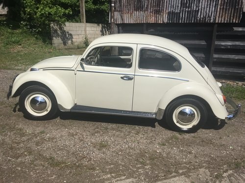 1964 1200 Beetle in great condition For Sale