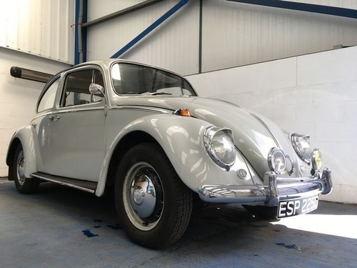1966 Volkswagen Beetle 1300 at Morris Leslie Auctions 18th August For Sale by Auction