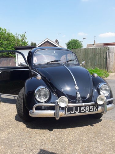 1971 beetle t1 bug For Sale