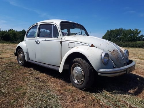 'Barn find' 1969 VW 1200 Beetle In vendita