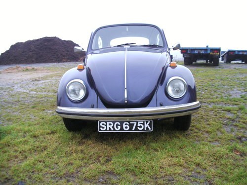 1971 VW Beetle  1600cc Restored For Sale