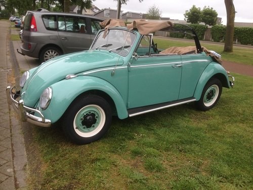 bug convertable 1966 restored like new For Sale