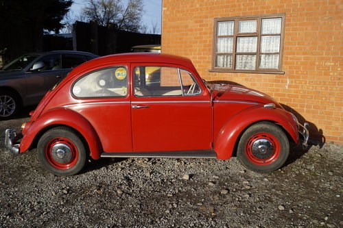 1967 1200cc Volkswagen Beetle For Sale