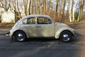 1965 vw beetle SOLD